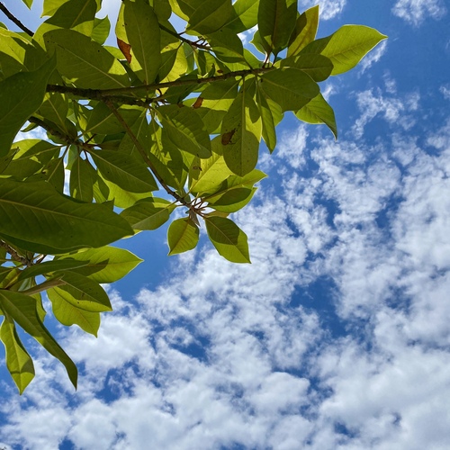 Photo #14133016