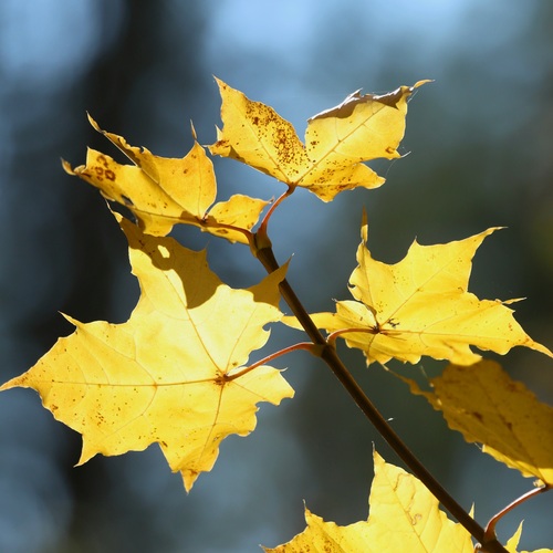 Photo #14133025
