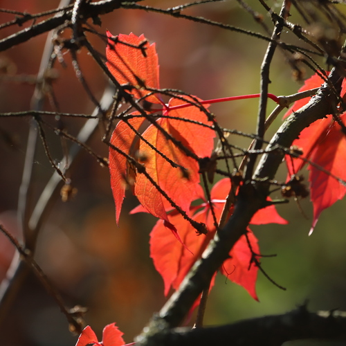 Photo #14133026