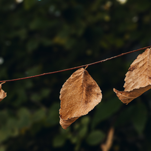 Photo #14133040