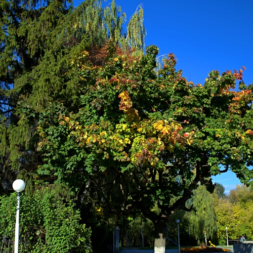 Photo #14133060