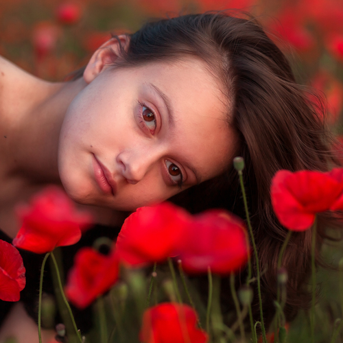 Photo #14133065