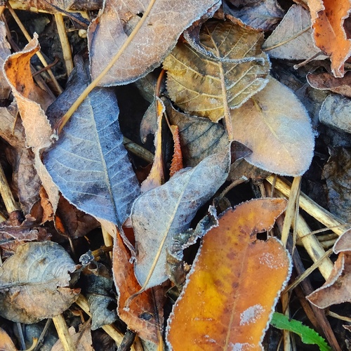Photo #14133249