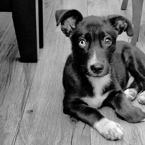 Photo #14133286