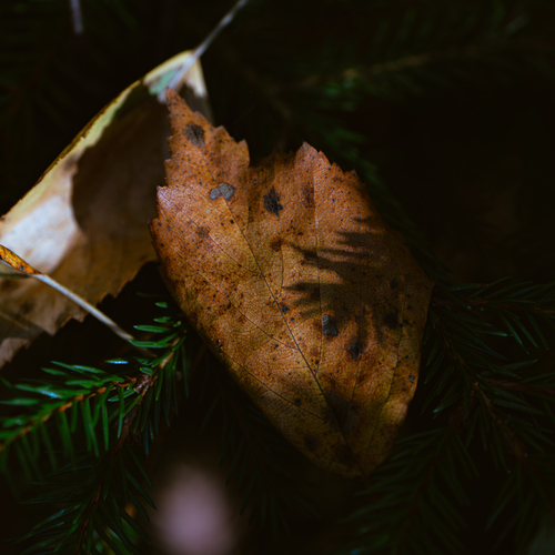 Photo #14133366