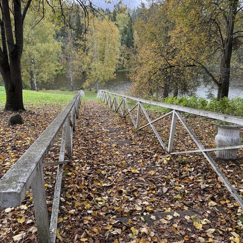 Photo #14133423