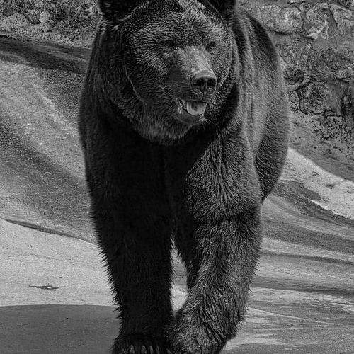 Photo #14133592