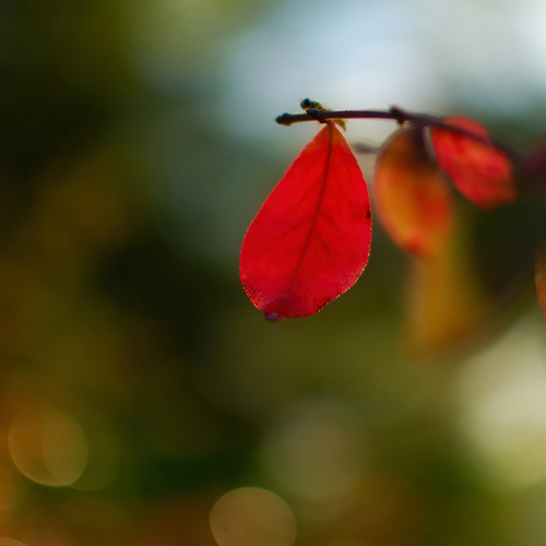 Photo #14133605