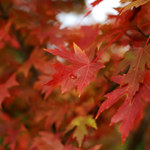 Photo #14133614