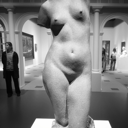 Photo #14133649