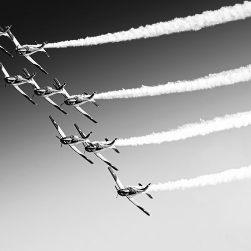 Photo #14133709
