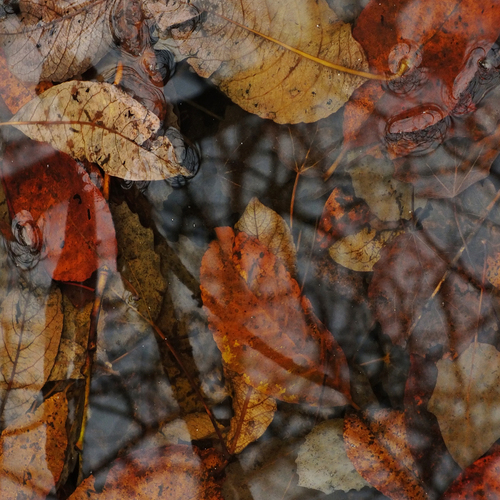 Photo #14133807