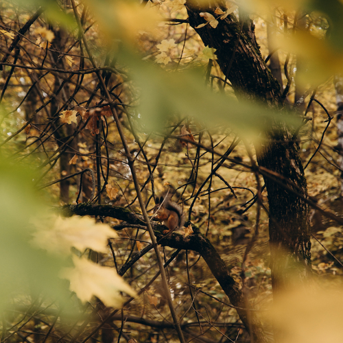 Photo #14133819