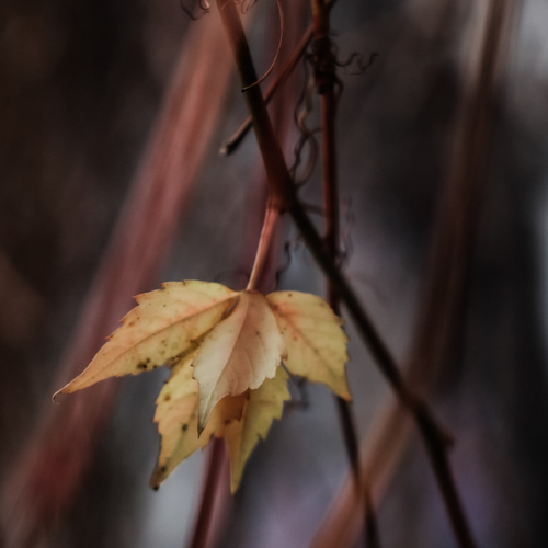 Photo #14133874