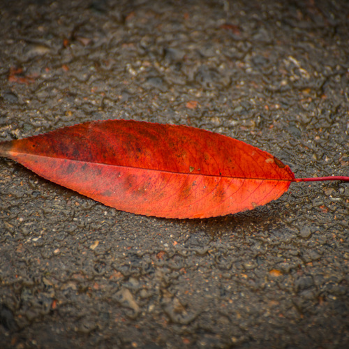 Photo #14133885