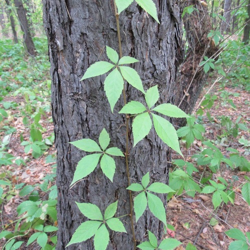 Photo #14133937