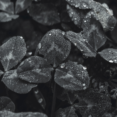 Photo #14133956