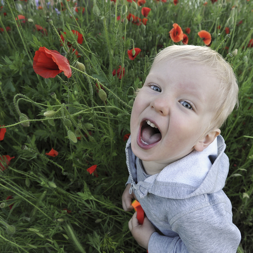 Photo #14133989