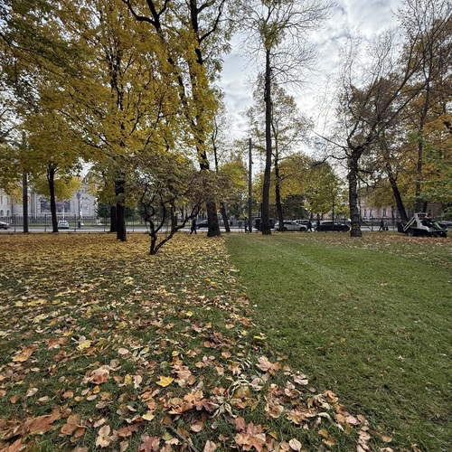Photo #14133993