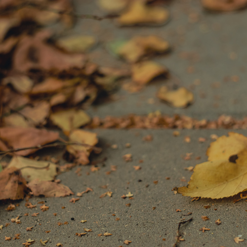 Photo #14134028