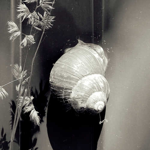 Photo #14134129