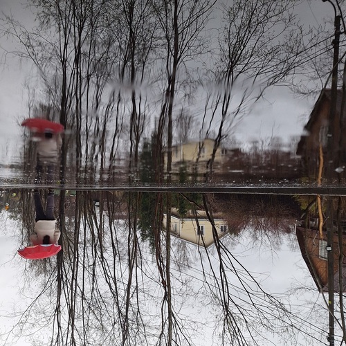 Photo #14134150