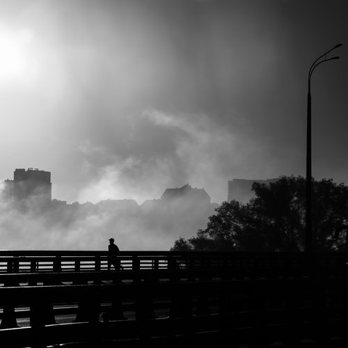 Photo #14134234