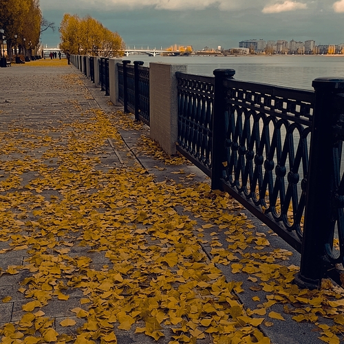 Фотография #14134246