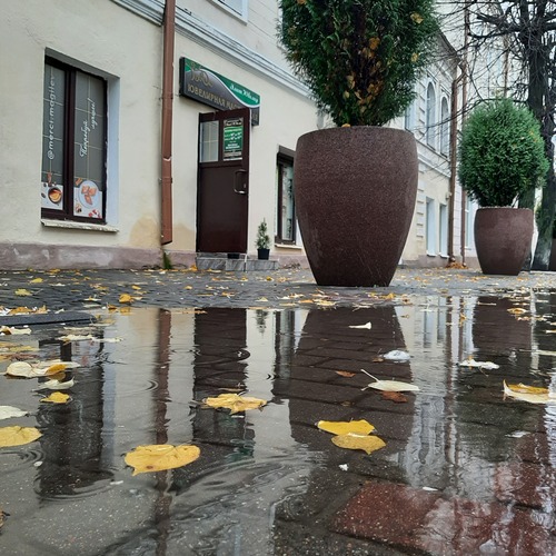 Photo #14134248