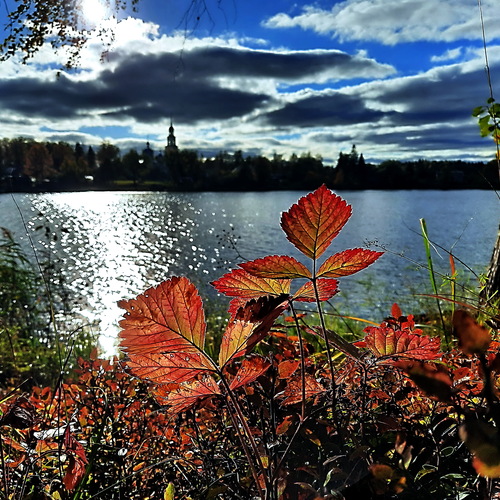 Photo #14134329