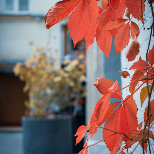 Photo #14134455
