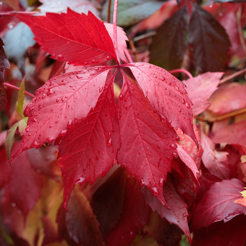 Photo #14134457