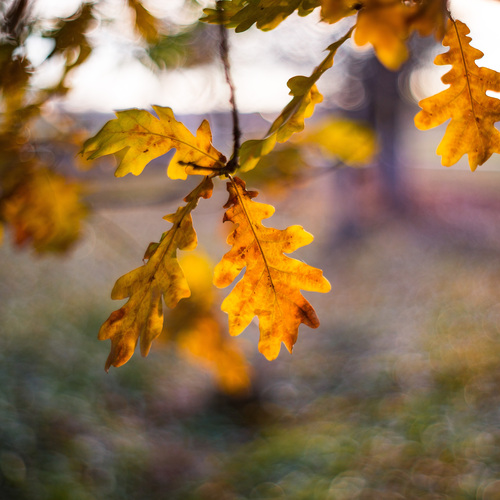 Photo #14134458