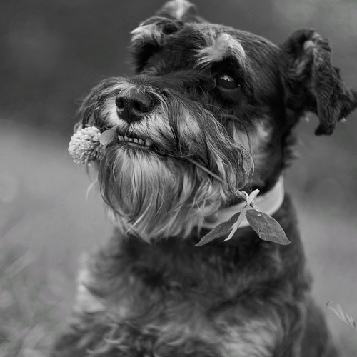 Photo #14134468