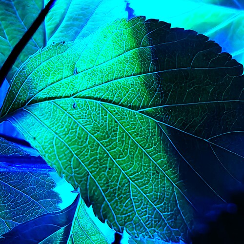 Photo #14134566