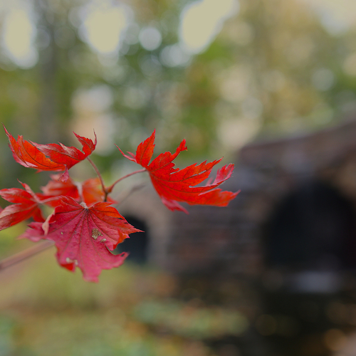 Photo #14134569
