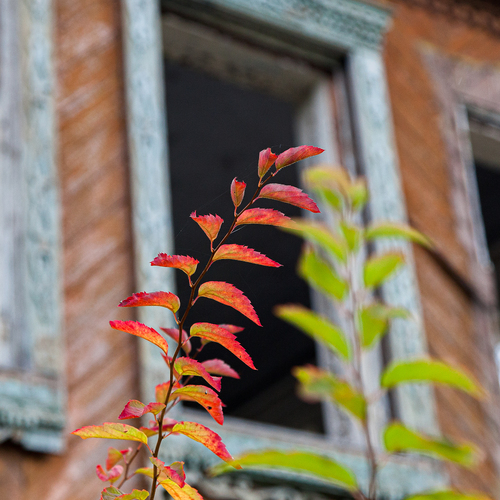 Photo #14134649