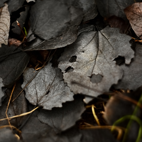 Photo #14134661