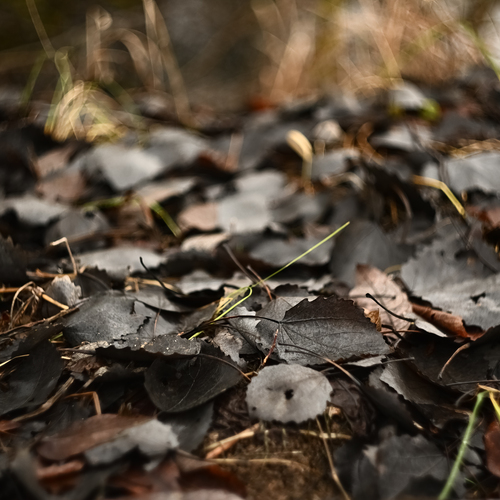 Photo #14134662