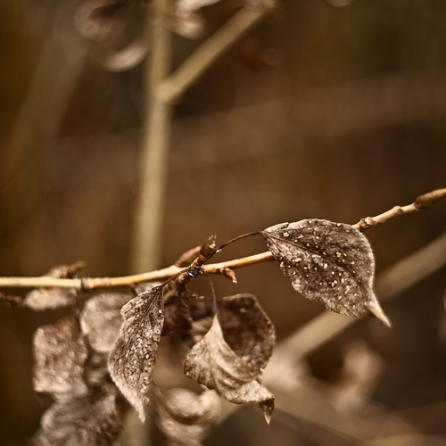Photo #14134664