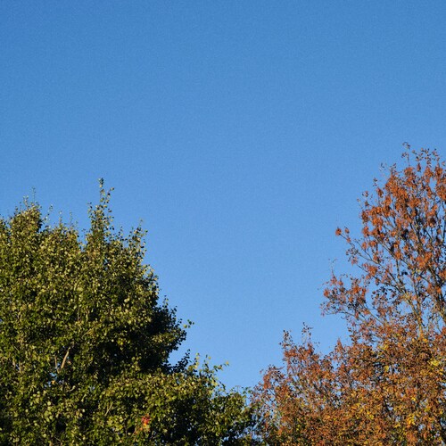 Photo #14134705
