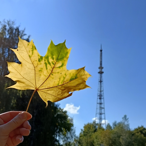 Фотография #14134776