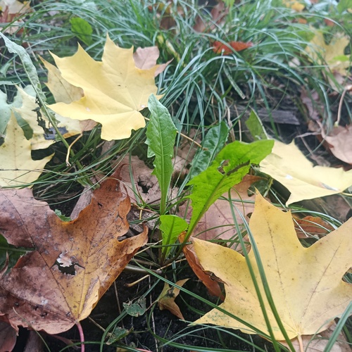 Photo #14134832