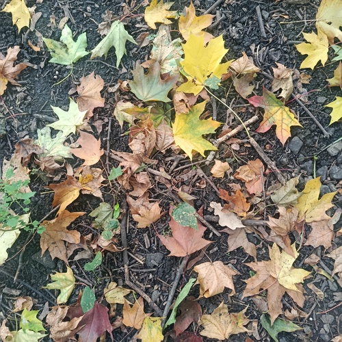 Photo #14134838