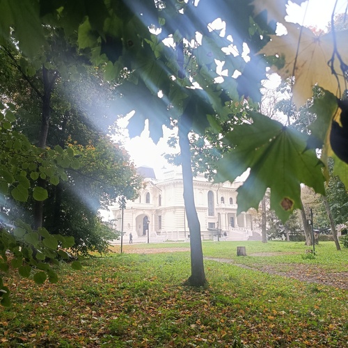 Photo #14134847