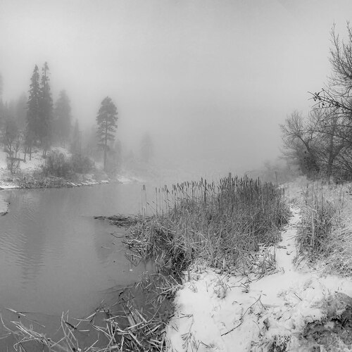 Photo #14135163