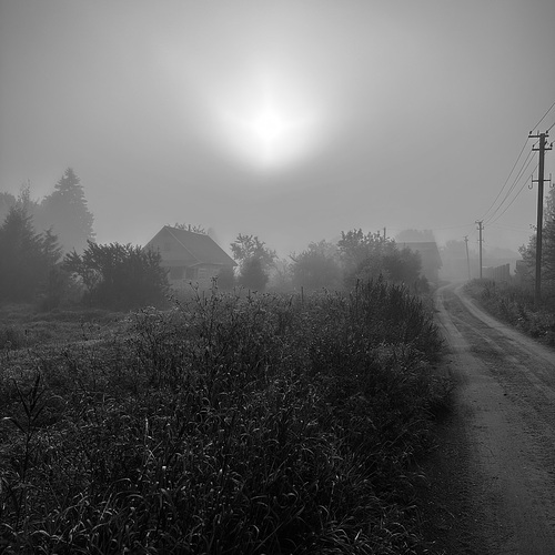 Photo #14135225