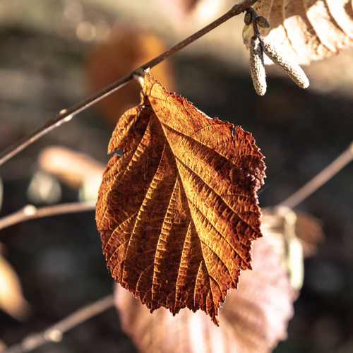 Photo #14135254