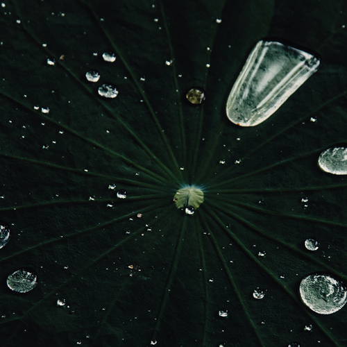 Photo #14135312