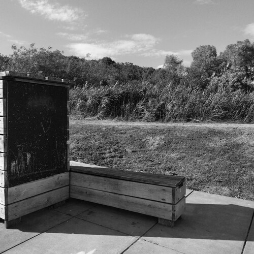 Photo #14135320